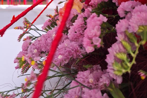 La Scuola professionale per l'economia domestica e agroalimentare Aslago al mercato dei fiori di Bolzano. (Foto: USP/Scuola professionale per l'economia domestica e agroalimentare Aslago)
