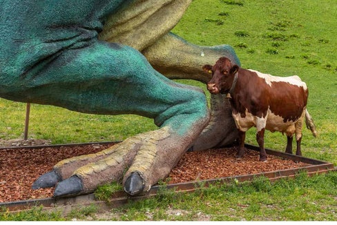 Una parte della mostra speciale nella Casa del Parco Naturale Tre Cime Il mondo non basta. (Foto: Fabian Haspinger)
