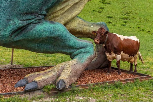 Dieses Foto ist Teil der Sonderausstellung im Naturparkhaus Drei Zinnen Die Welt ist nicht genug. (Foto: Fabian Haspinger)