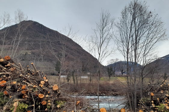 Regelmäßige Uferpflege gehört zum Hochwasserschutz: Das Bild entstand am 7. Jänner am rechten Ufer der Talfer oberhalb der Talferbrücke. (Foto: LPA/Maja Clara)