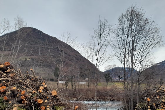 La manutenzione regolare degli argini protegge dalle inondazioni: la foto è stata scattata il 7 gennaio sulla riva destra del Talvera. (Foto: ASP/Maja Clara)