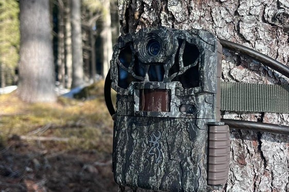 Die Installation der Fotofallen ist Teil der Neuausrichtung des Wildtiermonitorings, das in enger Abstimmung mit den technischen Ämtern der Nachbarregionen – darunter Trentino, Tirol und die Schweiz – entwickelt wurde. (Foto: LPA/Landesamt für Wildtiermanagement in der Landesabteilung Forstdienst)