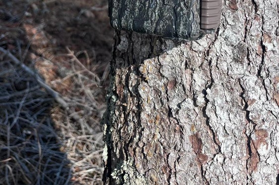 L'installazione delle fototrappole fa parte del riorientamento del monitoraggio della fauna selvatica, sviluppato in stretta collaborazione con gli uffici tecnici dei territori limitrofi, tra cui Trentino, Tirolo e Svizzera. (Foto: USP/Ufficio Gestione fauna selvatica, caccia e pesca)