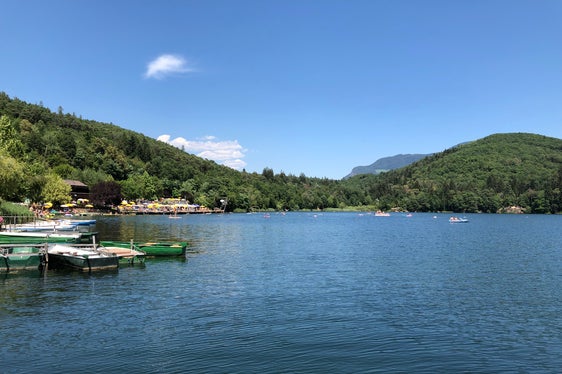 Rafforzare l'equilibrio ecologico dei laghi e mantenerli balneabili è l'obiettivo del monitoraggio effettuato dell'Agenzia provinciale per l'ambiente e la tutela del clima. L'immagine mostra il Lago grande di Monticolo. (Foto: ASP/Laboratorio Biologico)