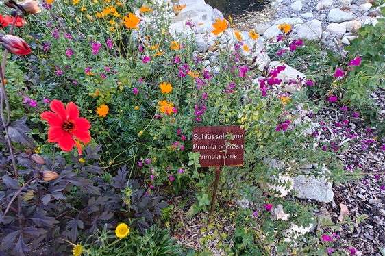 Nel giardino crescono erbe aromatiche autoctone e piante provenienti da paesi lontani. (Foto: USP/Ursula Pirchstaller)
