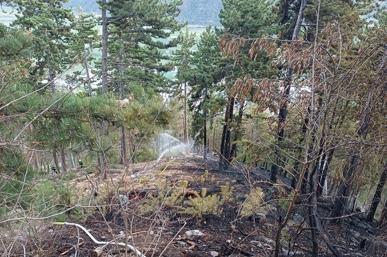 Dopo poco più di un'ora l'incendio è stato domato. (Foto: USP/Ispettorato forestale Silandro)