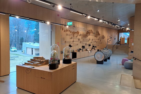 Auf insgesamt 600 Quadratmetern unter dem Motto Dem Wasser entgegen erzählt die Dauerausstellung viel Wissenswertes über die verschiedenen Höhenstufen des Naturparks Texelgruppe. (Foto: LPA/Hans Peter Santer)