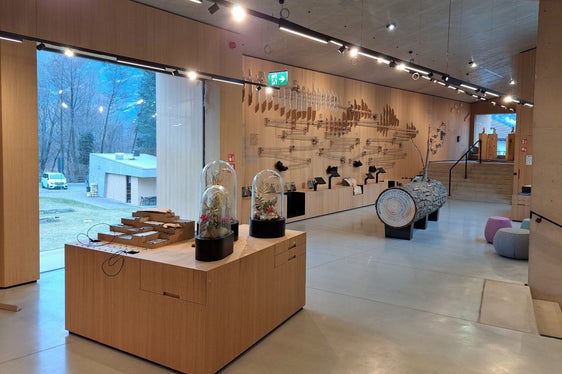 Auf insgesamt 600 Quadratmetern unter dem Motto Dem Wasser entgegen erzählt die Dauerausstellung viel Wissenswertes über die verschiedenen Höhenstufen des Naturparks Texelgruppe. (Foto: LPA/Hans Peter Santer)