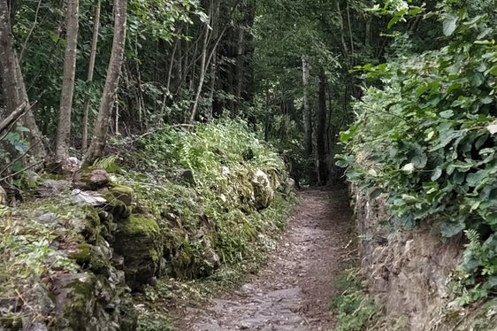 All'interno delle aree protette, la corretta manutenzione delle strade di accesso e dei sentieri viene promossa anche nell'ambito dei contributi per la conservazione del paesaggio. (Foto: ASP)