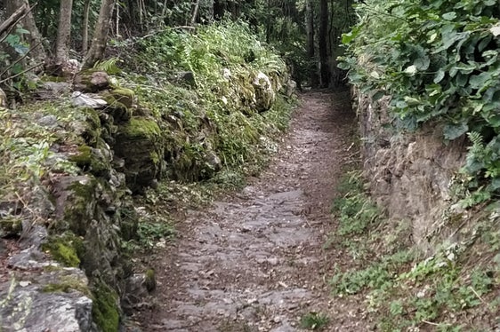 All'interno delle aree protette, la corretta manutenzione delle strade di accesso e dei sentieri viene promossa anche nell'ambito dei contributi per la conservazione del paesaggio. (Foto: ASP)