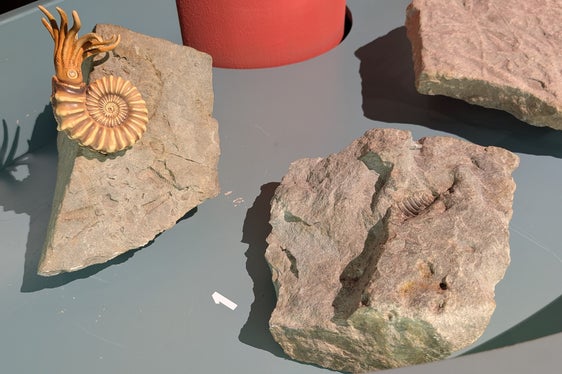 270 Millionen Jahre Erdgeschichte werden im GEOPARC Bletterbach greifbar: Zur Führung des Besucherzentrums haben Land Südtirol, Gemeinde Aldein und Sonderbetrieb GEOPARC Bletterbach eine Vereinbarung geschlossen. (Foto: LPA/Vera Brunetti)