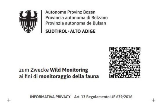 Nelle vicinanze delle fototrappole, dei cartelli informativi illustrano lo scopo, l'organizzazione responsabile e le basi giuridiche del trattamento dei dati. La protezione dei dati personali ha la massima priorità. Le persone non vengono né identificate né valutate; le immagini in cui sono riconoscibili delle persone vengono immediatamente cancellate. (Foto: USP/Gestione fauna selvatica, caccia e pesca)