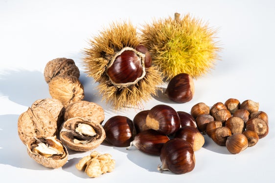Walnüsse, Haselnüsse und Kastanien sind traditionsreiche Kulturen in Südtirol und im Trentino (Foto: LPA/Laimburg Research Centre/Ivo Corrà)