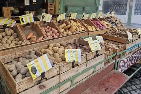 Sono necessari sementi d'alta qualità per poter produrre patate d'alta qualità. A tal fine sono state previste nuove sovvenzioni. (Foto: ASP/Ulrike Huber)