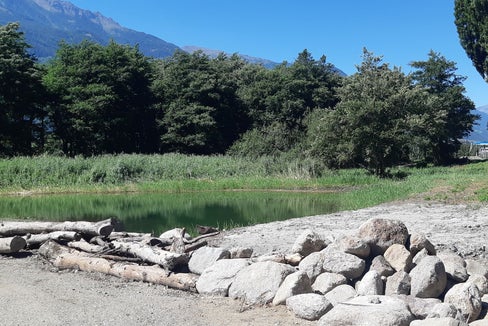 La Provincia ha acquistato il biotopo, costituito da bosco golenale e canneto e dotato di una superficie di 7575 metri quadrati, dall'Ordine delle Dame Inglesi due anni fa, nel 2020 (Foto: ASP/Ufficio natura/Valentin Schroffenegger)