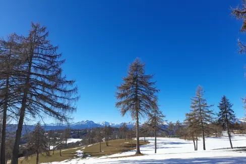 Il mese di gennaio è stato caratterizzato da un meteo mite e secco (Foto: ASP/Maja Clara)