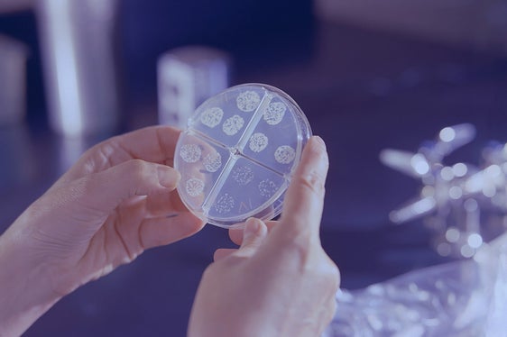 Rivisti i criteri per l'assegnazione dei premi scientifici Research Award, Women in Science Award e Junior Research Award Südtirol/Alto Adige. Oggi (19 marzo) il via libera della Giunta provinciale. (Foto: Unsplash)