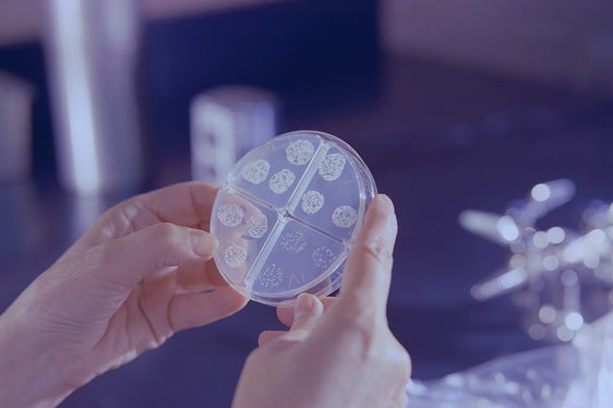 Das Land Südtirol fördert Forschung auch durch die Stiftung von Wissenschaftspreisen. Die Richtlinien für die Vergabe der Wissenschaftspreise Research-, Women in Science- sowie Junior Research-Award Südtirol hat die Landesregierung heute geändert. (Foto: Unsplash)