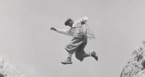 Onlineausstellung „Trau dich! Coraggio! Infidete!“