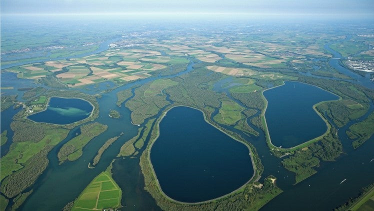 Bekkens Biesbosch