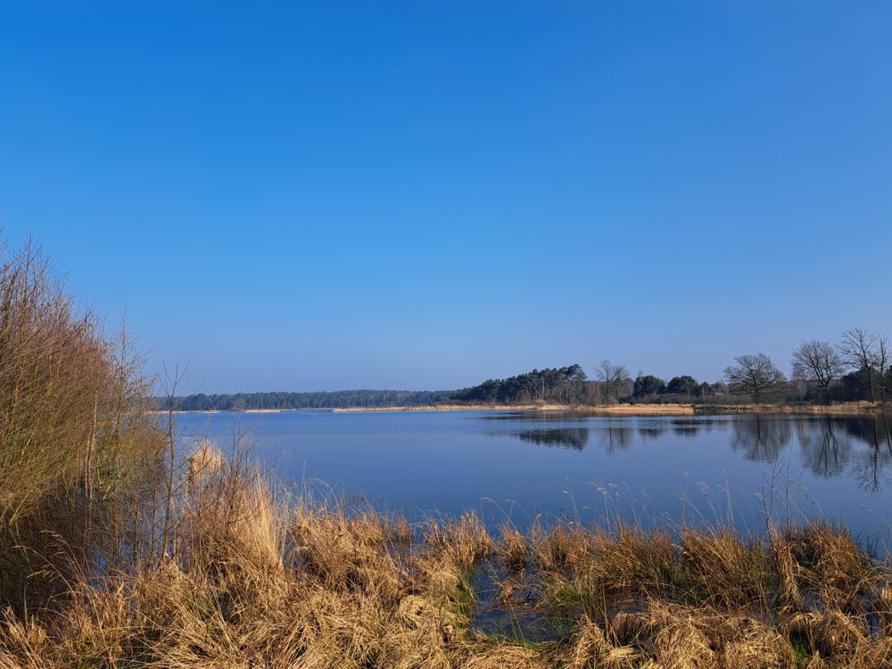 Foto van de Brabantse Wal.