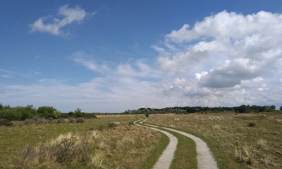 Een afbeelding van het waterwingebied Middel- en Oostduinen.