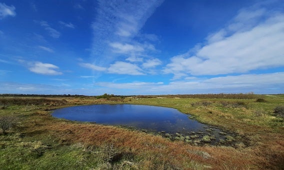 Waterwingebied Middel- en Oostduinen