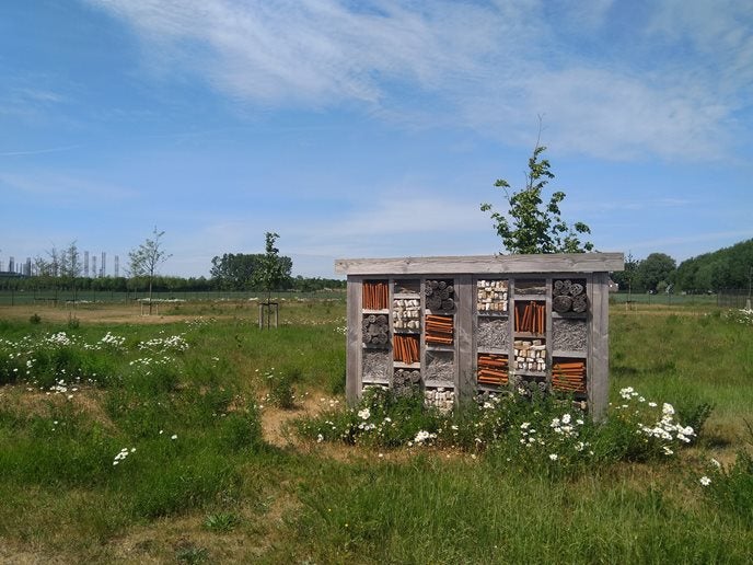 Insectenhotel voor bijen