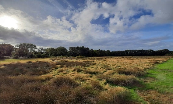 Waterwingebied Halsteren