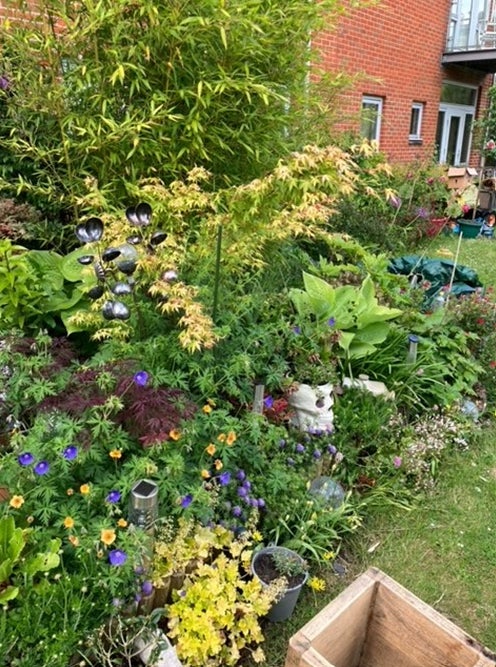 A pretty garden with a variety of plants