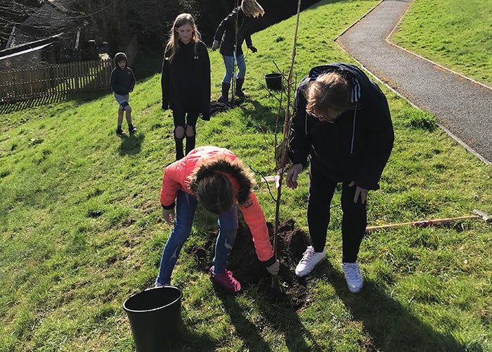 Community and Sovereign planting trees