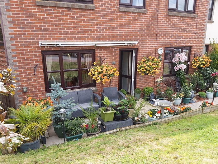 A colourful arrangement of potted plants and trees outside the back of a house