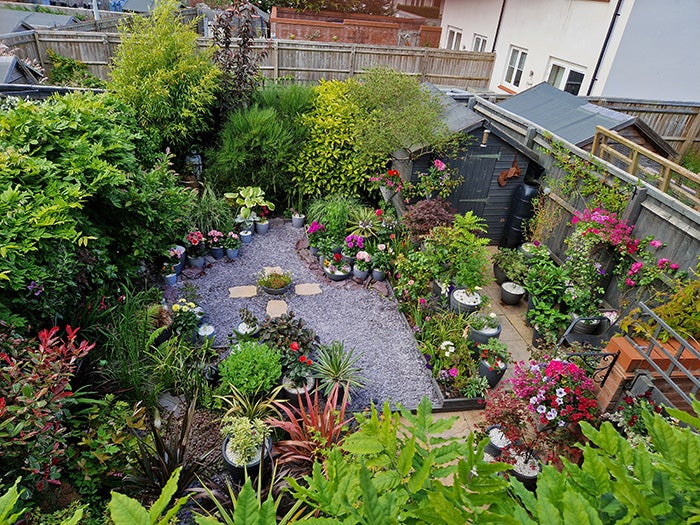 Aerial view of a pretty home garden with a shed in one corner and a variety of trees, potted plants and flowers