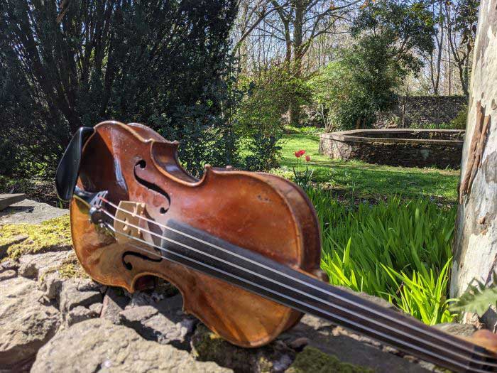 A violin sitting on a  small stone wall in front of a garden