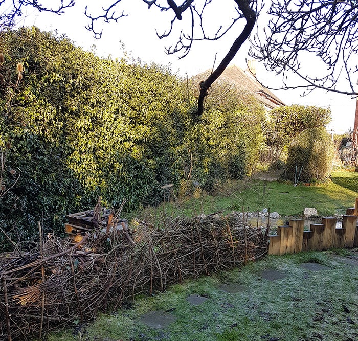 A garden fence made of tree branches and wooden off cuts with a large hedge in the background