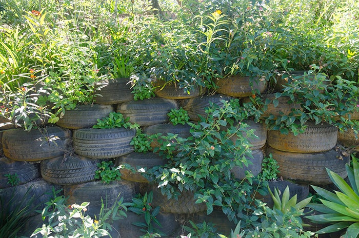 A wall of black rubber tyres with plants growing out of them