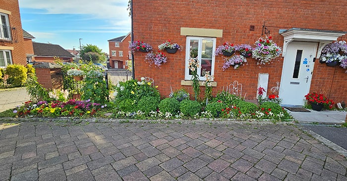 Pretty plants, flowers and hanging baskets outside a semi-detached house on a sunny day