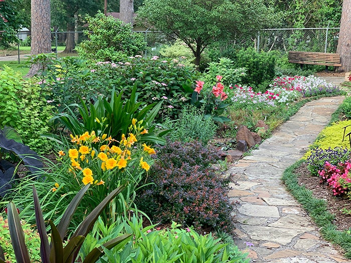 A pretty garden with a variety of plants and flowers separated by a crazy paving pathway