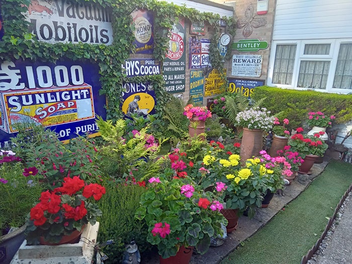 Colourful flowers and plants carefully arranged in front of retro adverts in a back garden