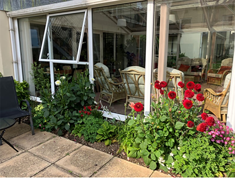 Pretty plants and flowers growing outside a conservatory