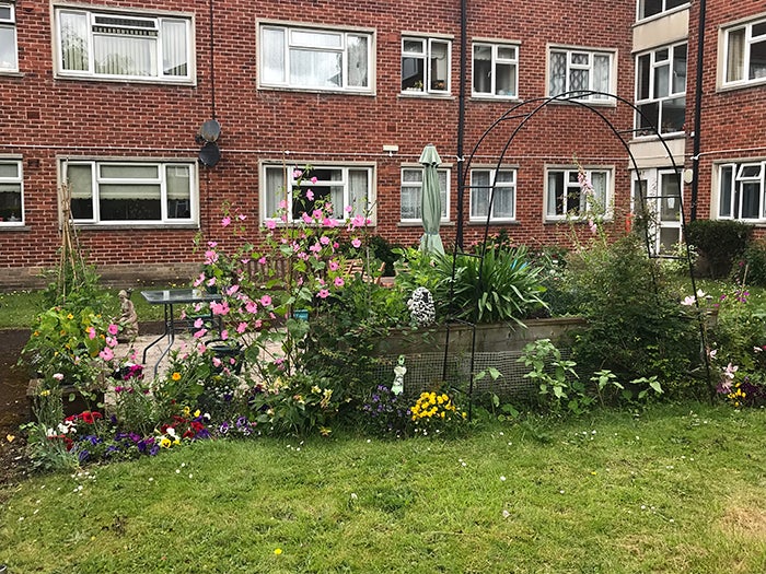 A pretty community garden with plants, flowers and an archway