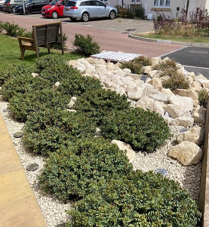 Pretty landscaped garden with uniform shrubs and rockery