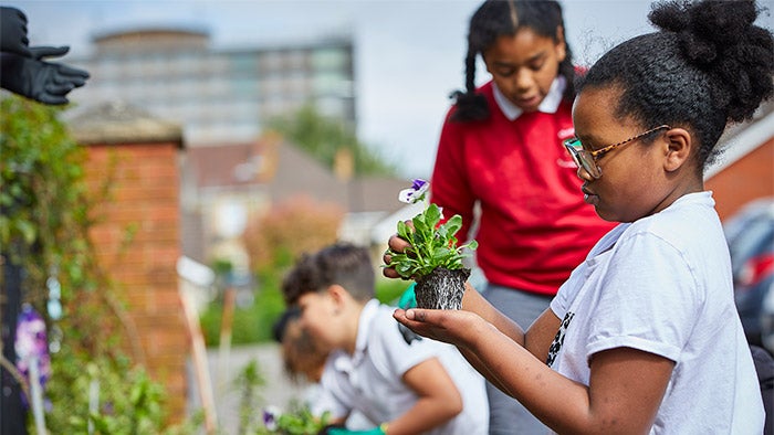 Picture of a girl holding a plant