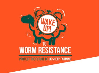 Zolvix wake up to sheep worm resistance 