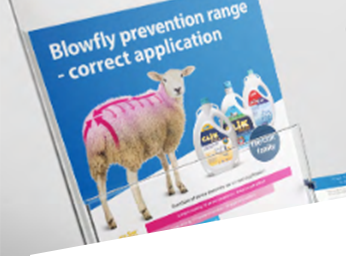 CLiK application guide for blowfly prevention in sheep