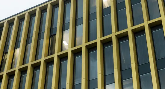 Una nuova opportunità lavorativa