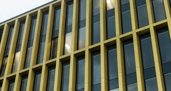 Una nuova opportunità lavorativa