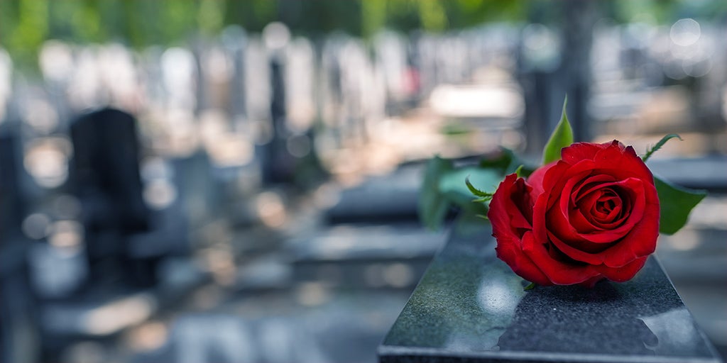 Rose sitting upon a headstone at a graveyard