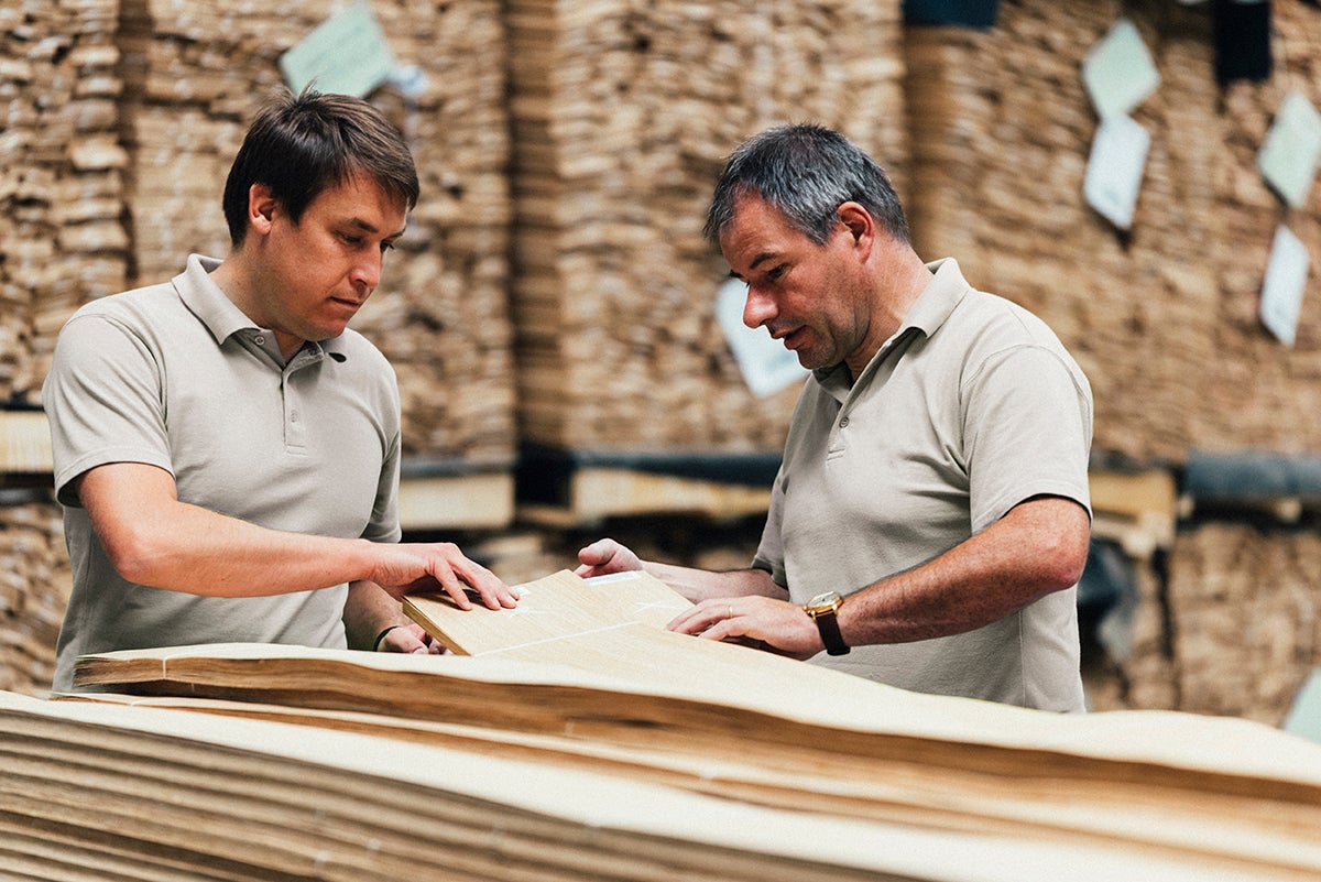 picture alternative text