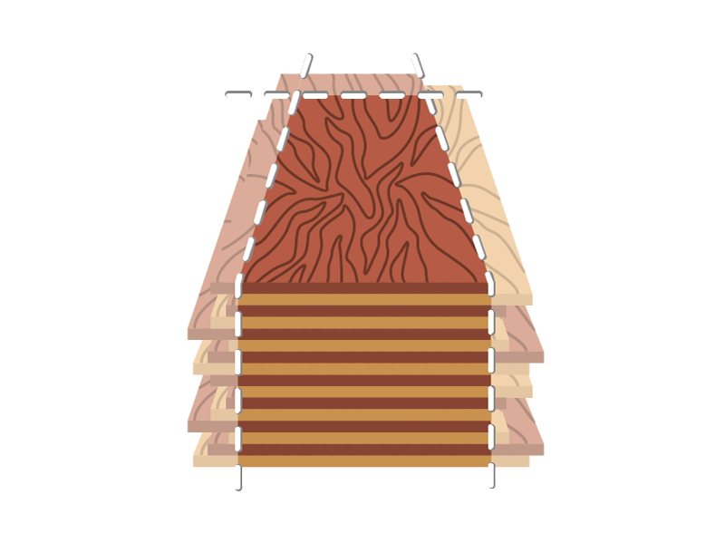 picture alternative text